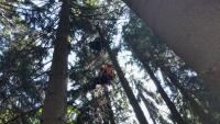 paragliding FxTVd8vXgAASjyU